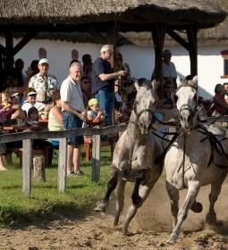 Geréby Kúria Hotel és Lovasudvar étterme
