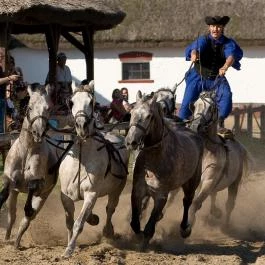 Geréby Kúria Hotel és Lovasudvar étterme Lajosmizse - Egyéb