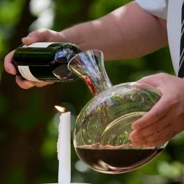 Geréby Kúria Hotel és Lovasudvar étterme Lajosmizse - Egyéb