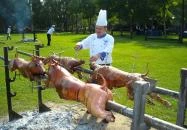 Új Tanyacsárda Étterem Lajosmizse