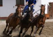 Új Tanyacsárda Étterem Lajosmizse