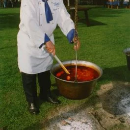 Új Tanyacsárda Étterem Lajosmizse - Egyéb