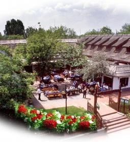 Új Tanyacsárda Étterem