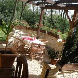 Akácliget Vendégház Lajosmizse - Medence/kert