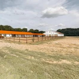 Geréby Kúria Hotel és Lovasudvar Lajosmizse - 