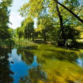 Geréby Kúria Hotel és Lovasudvar Lajosmizse - Egyéb