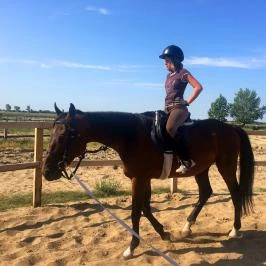 Geréby Kúria Hotel és Lovasudvar Lajosmizse - 