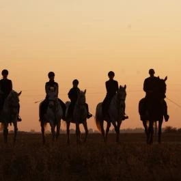 Geréby Kúria Hotel és Lovasudvar Lajosmizse - Egyéb