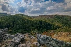 Odvas-kő Mályinka