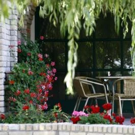 Nyerges Hotel Termál Monor - Medence/kert