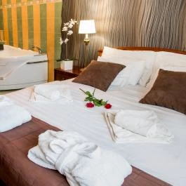 Nyerges Hotel Termál Monor - Szobák