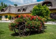 Nyerges Hotel Termál Monor