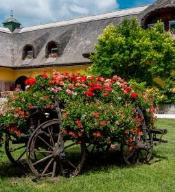Nyerges Hotel Termál