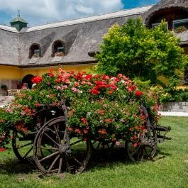 Nyerges Hotel Termál Monor - Medence/kert