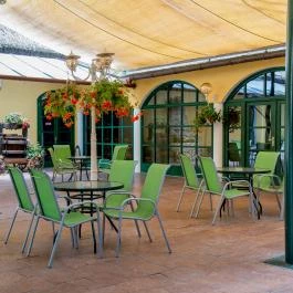 Nyerges Hotel Termál Monor - Medence/kert