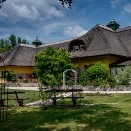 Nyerges Hotel Termál Monor - Medence/kert