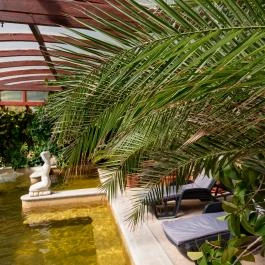 Nyerges Hotel Termál Monor - Wellness
