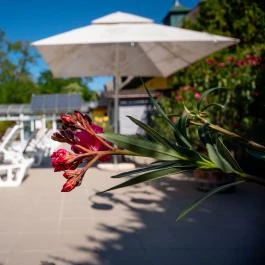 Nyerges Hotel Termál Monor - 