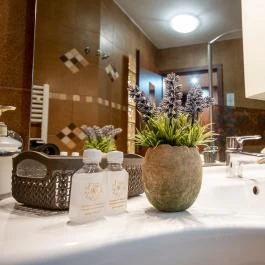 Nyerges Hotel Termál Monor - Szobák