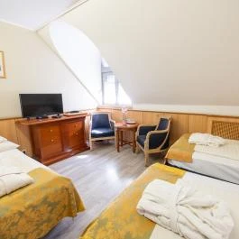 Nyerges Hotel Termál Monor - Szobák