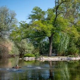 Nyerges Hotel Termál Monor - Egyéb