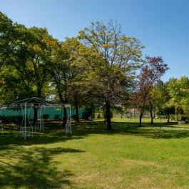 Nyerges Hotel Termál Monor - Medence/kert