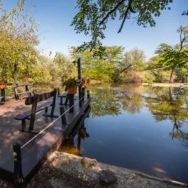 Nyerges Hotel Termál Monor - Egyéb