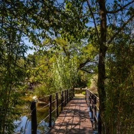 Nyerges Hotel Termál Monor - Egyéb