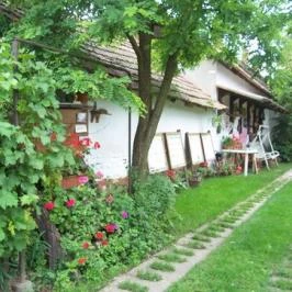 Barátka Vendégház Abádszalók - Medence/kert