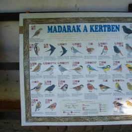 Barátka Vendégház Abádszalók - Egyéb