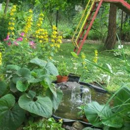 Barátka Vendégház Abádszalók - Medence/kert