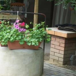 Barátka Vendégház Abádszalók - Egyéb