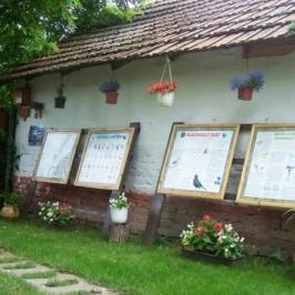 Barátka Vendégház Abádszalók - Medence/kert