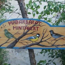 Barátka Vendégház Abádszalók - Medence/kert