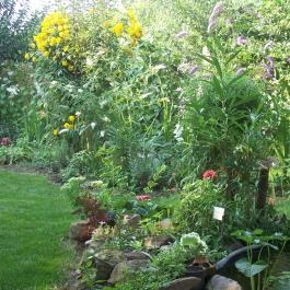 Barátka Vendégház Abádszalók - Medence/kert