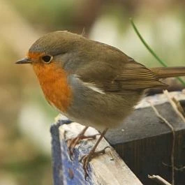 Barátka Vendégház Abádszalók - Egyéb