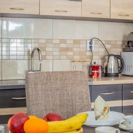 Fortuna Vendégház Abádszalók - Egyéb