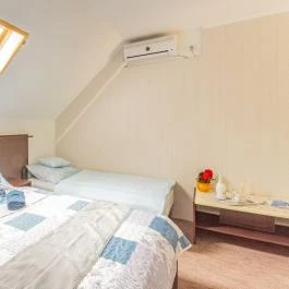 Fortuna Vendégház Abádszalók - Egyéb