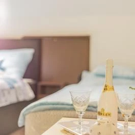 Fortuna Vendégház Abádszalók - Egyéb