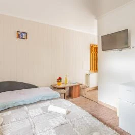 Fortuna Vendégház Abádszalók - Egyéb