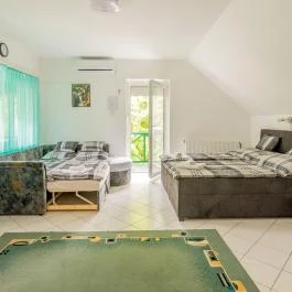 Fortuna Vendégház Abádszalók - Egyéb