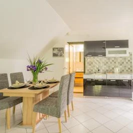 Fortuna Vendégház Abádszalók - Egyéb