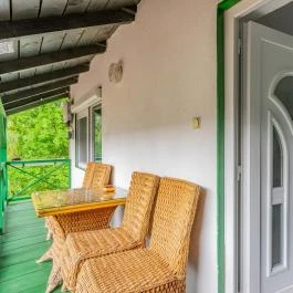 Fortuna Vendégház Abádszalók - Egyéb