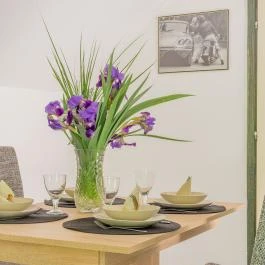 Fortuna Vendégház Abádszalók - Egyéb