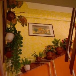 Katalin Vendégház Abádszalók - Belső