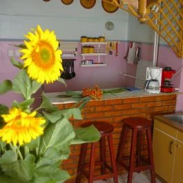 Katalin Vendégház Abádszalók - Vendéglátás