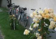 Kék Sziget Pihenőház Abádszalók