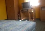 Napsugár Apartman Abádszalók