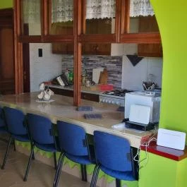 Tisza-Tavi Isteni Vendégház Abádszalók - Egyéb