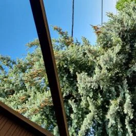 Tisza-Tavi Isteni Vendégház Abádszalók - Egyéb